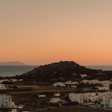 Flo * Naxos City